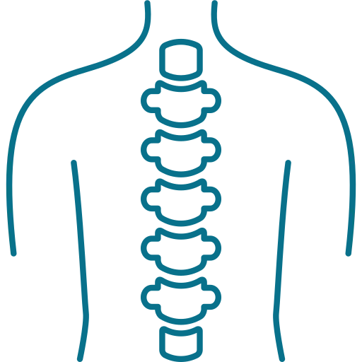 spine