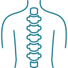 spine